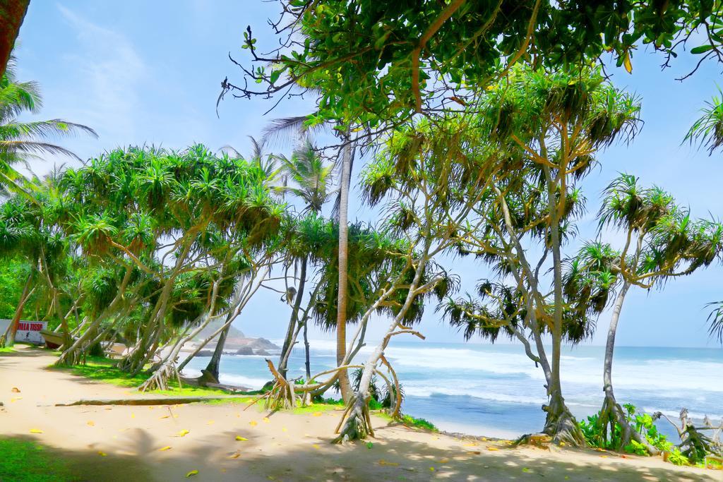 Naomi Beach Hotel Weligama Exterior foto